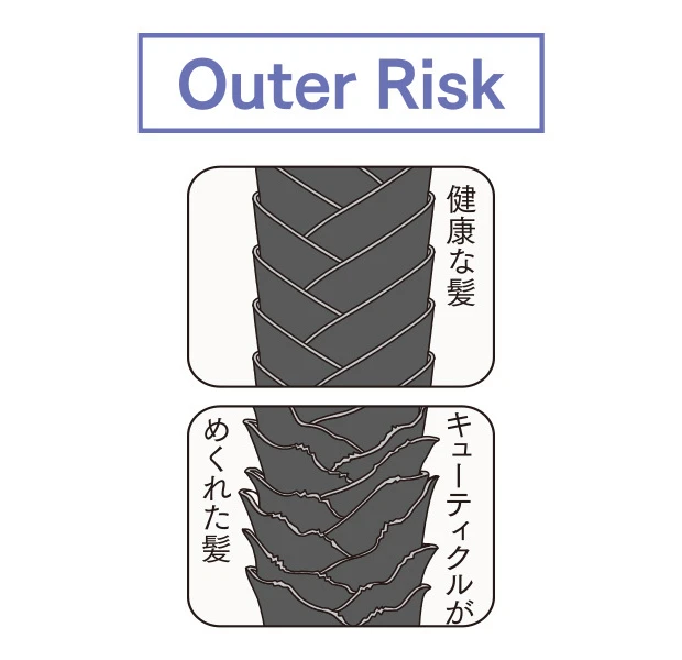THE ANSWER ジアンサー 髪の構造 Outer Risk