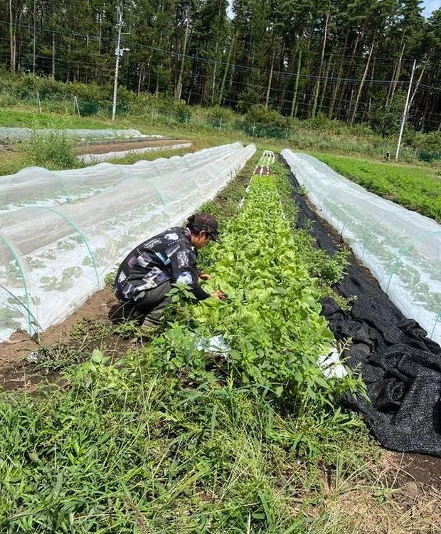 【アルソア本社見学】自然との調和と、外見だけではない“内からの美”について考える_4_2