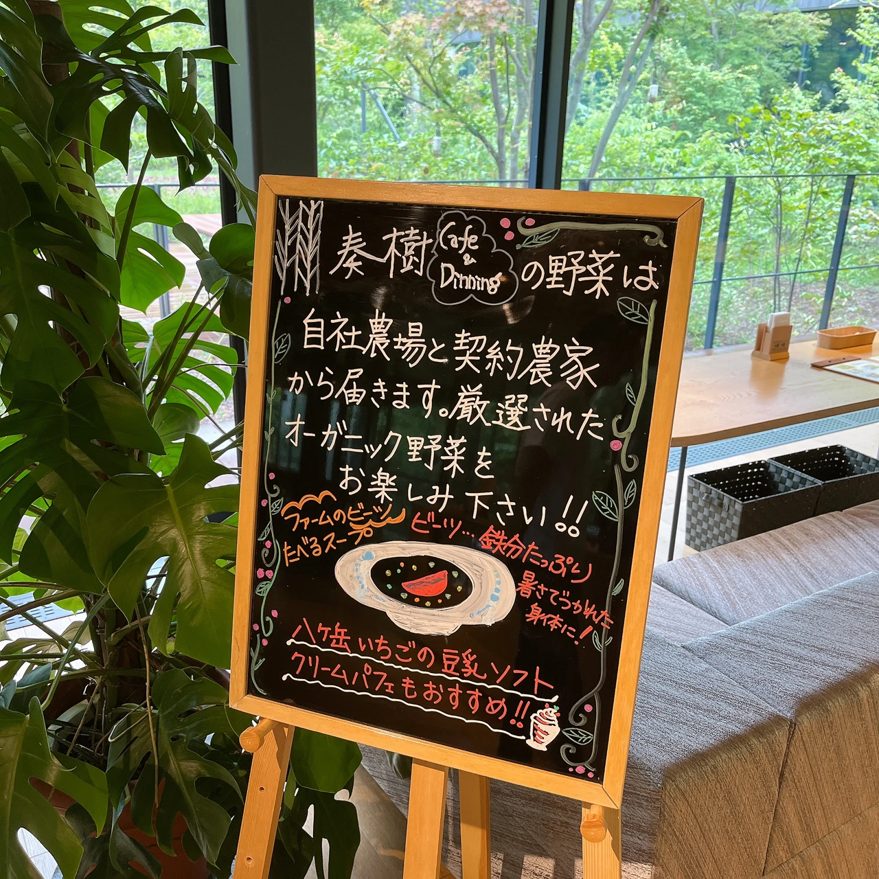 素肌美を目指せるARSOAの素敵なメソッドを山梨県・小淵沢で体感！_5_4