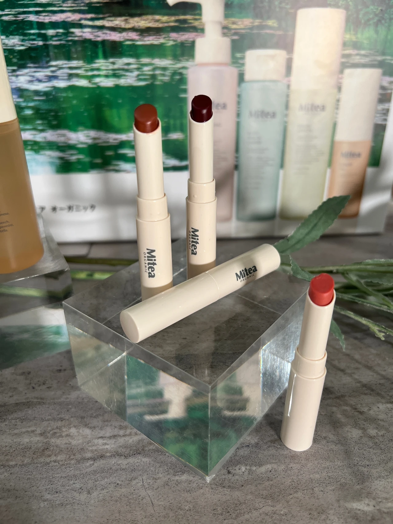 【Cosme Kitchenプロデュース】美肌に近づくナチュラルオーガニックスキンケア/Mitea ORGANIC：肌は水とオイルでできている_9_1