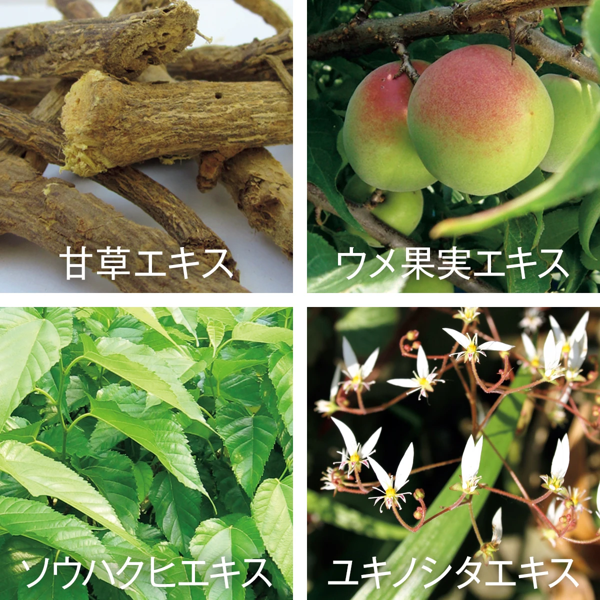 4つの天然由来成分