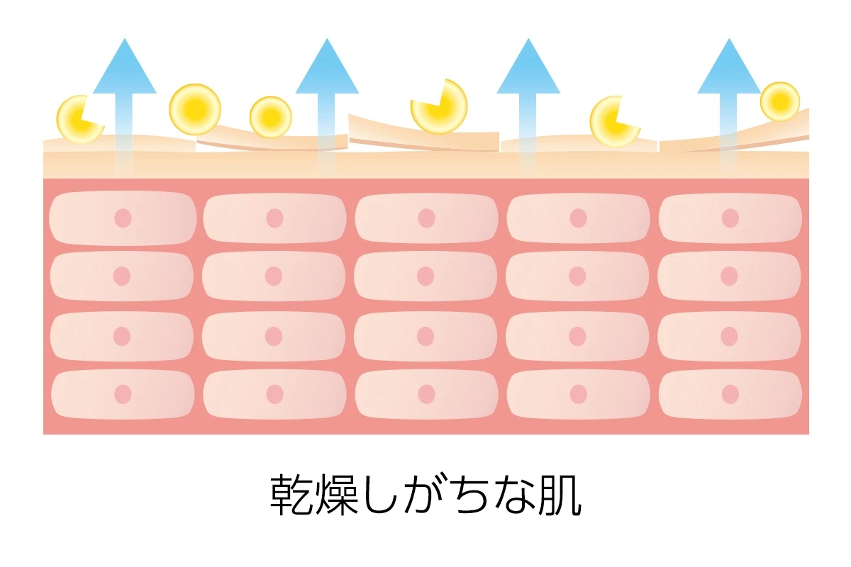 ラ ロッシュ ポゼ