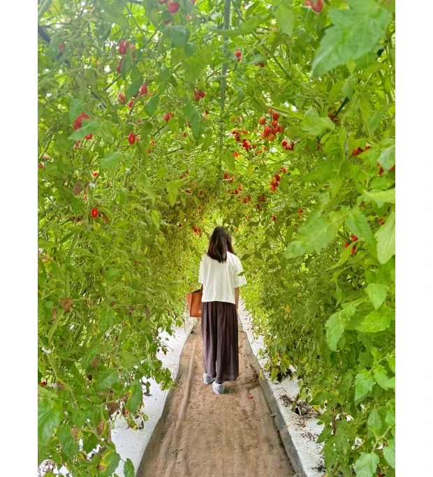 アルソア　レインボーファーム