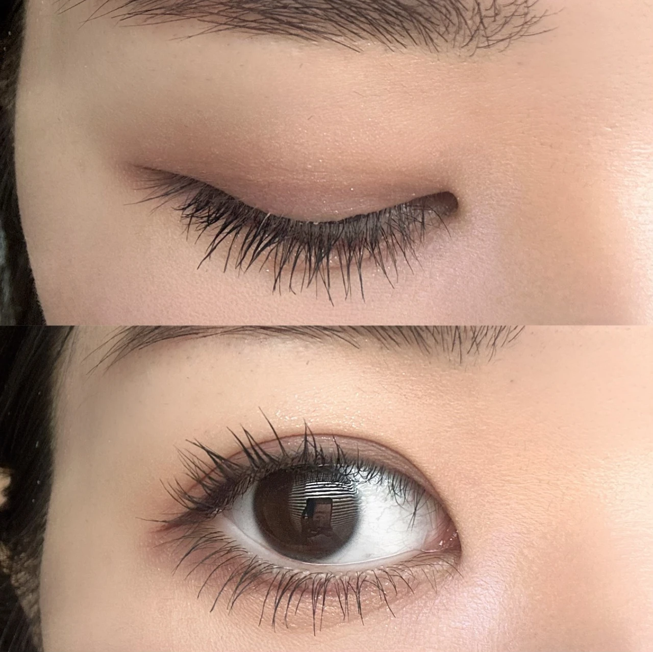 3650 マスカラ　WP Comb