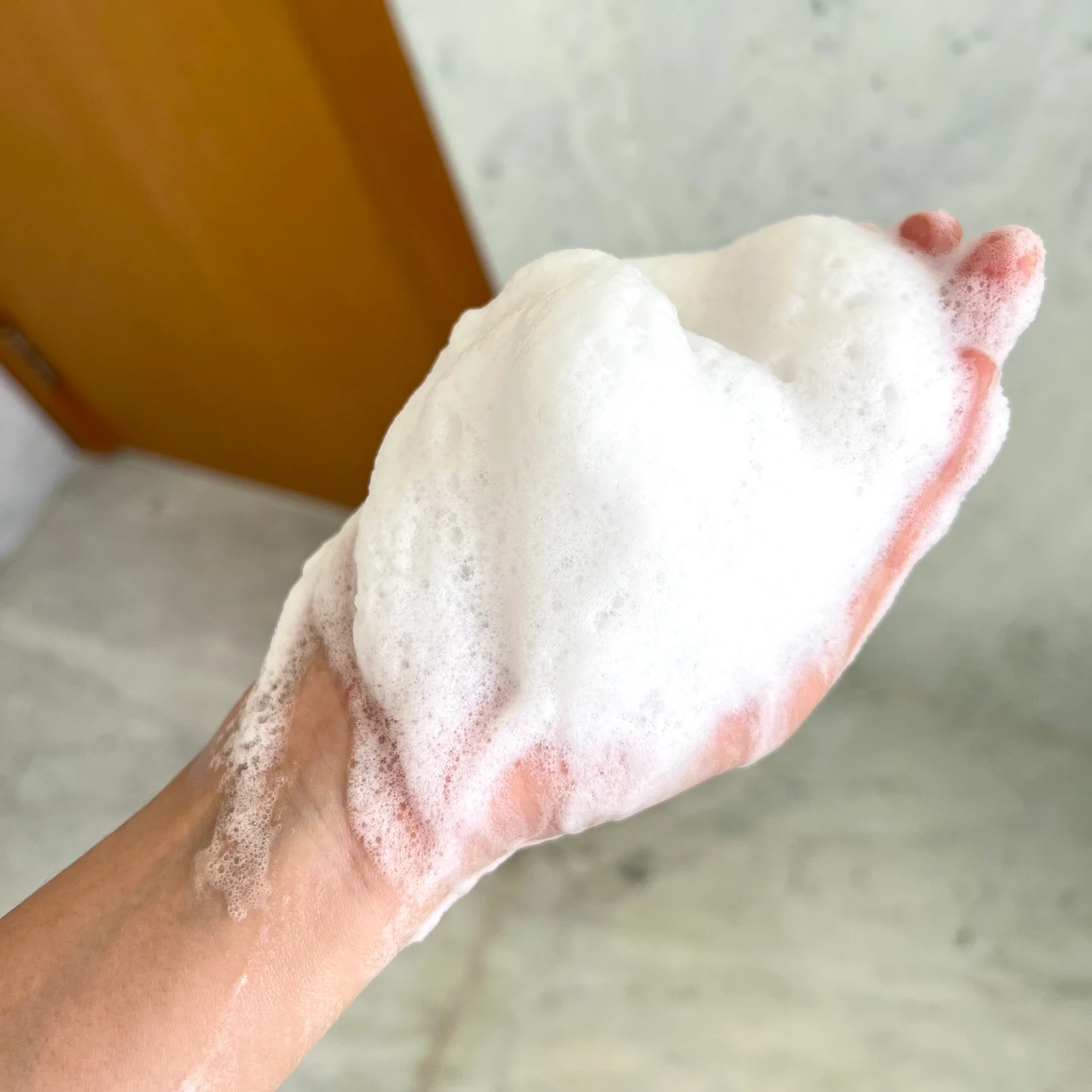 アルソア クイーンシルバー