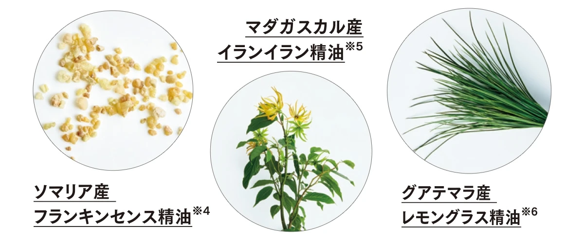 ザ パブリック オーガニック スーパーポジティブ