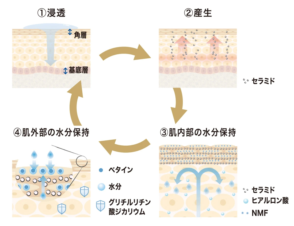 アクアチャージ セルフ ハイドロテクノロジー