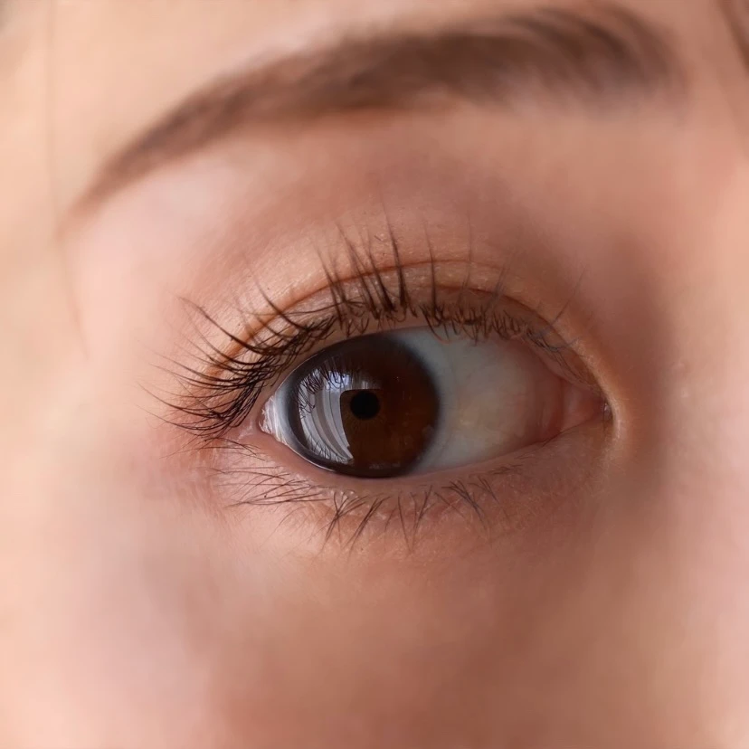 ＼保存版／【パクミニョン様出演】3650新作発表会の豪華イベントの様子と11月1日発売のマスカラ全部見せます‼︎_19_1