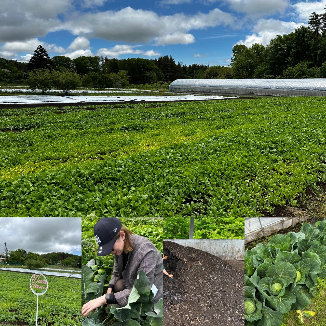 【ARSOA（アルソア）本社】見学レポート「心・体・肌」三建の精神　ブランドの魅力を紹介します。

_11