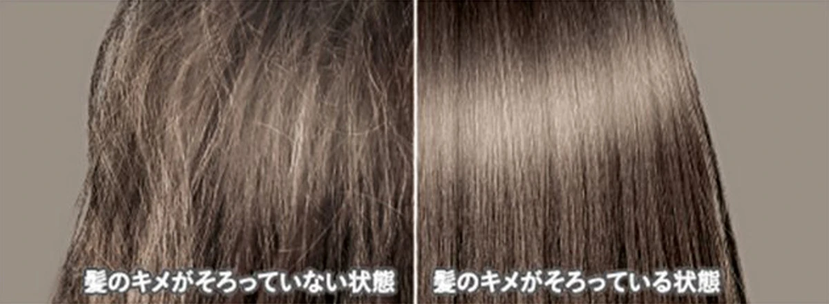すっぴん美髪のカギは「髪のキメ」にあり!人気美容師・菅野太一朗さんが教えるホームケア&ブローテクニック_2