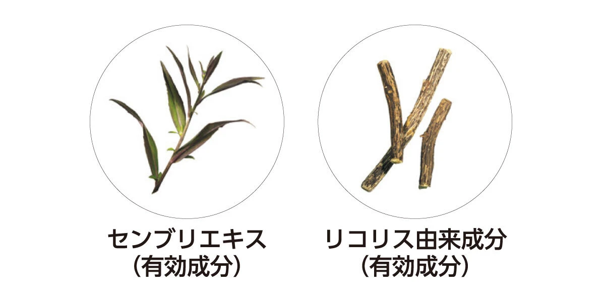 シャンプー後にあれ? 分け目を見てあれ? ドキリとしたら始めどき。育毛ケアの新常識、教えます_6