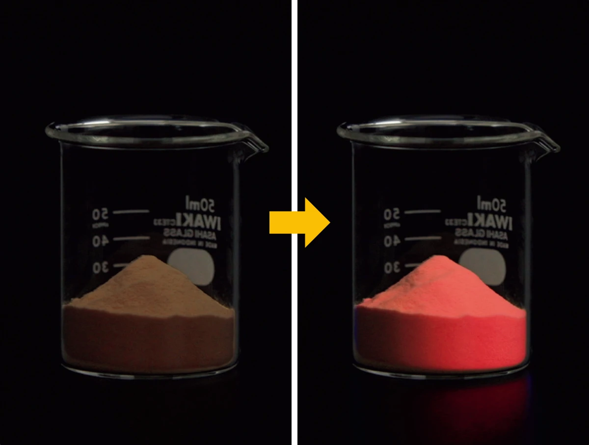 MAQUIAエディター、よこゆかの「ビタミンCはオバジ」な理由、教えます!_9