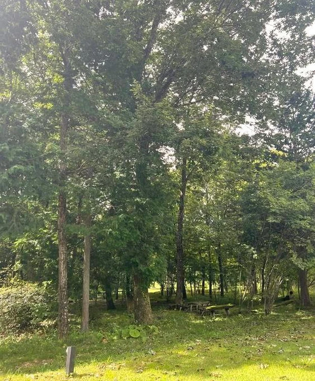 ARSOA_アルソア＿アルソア本社