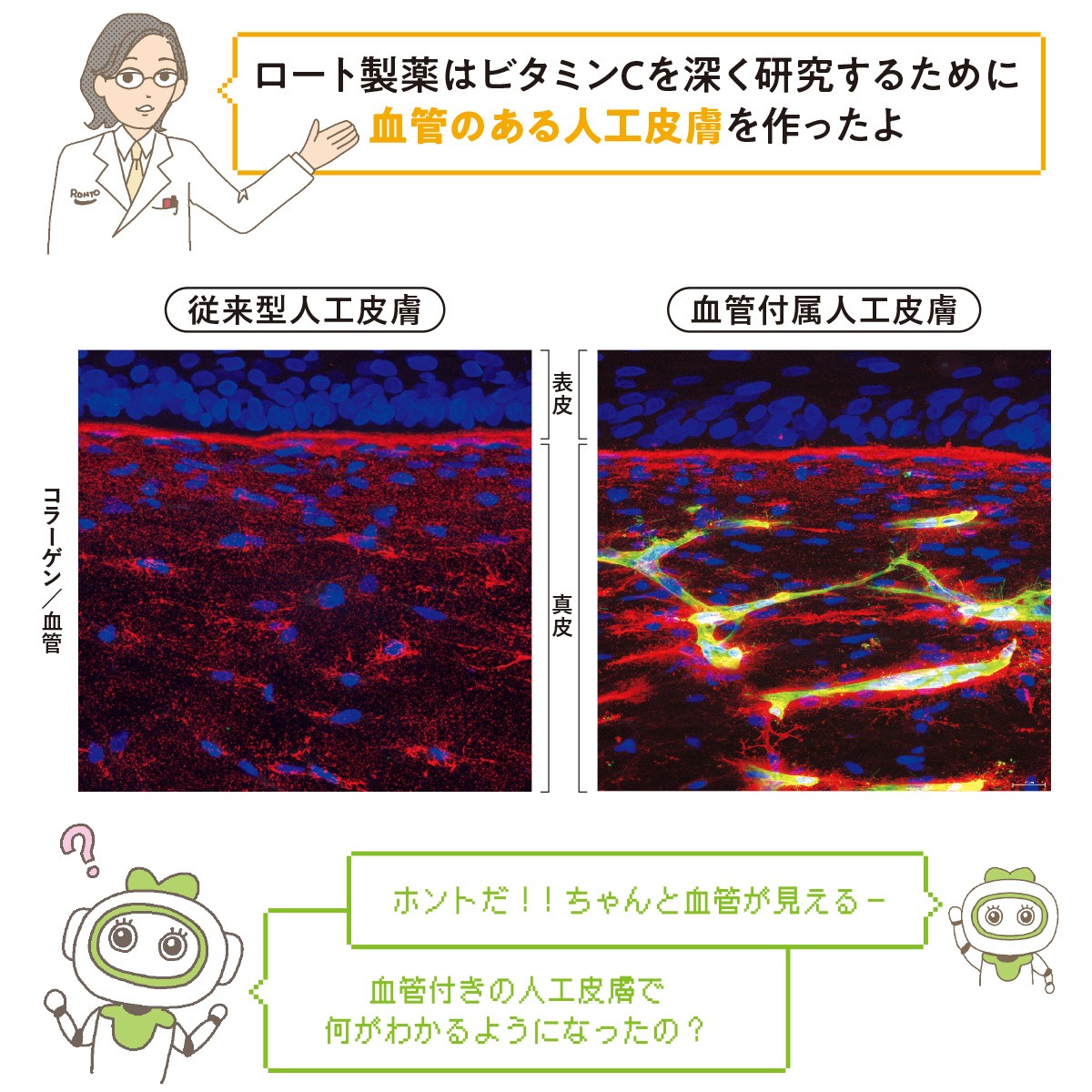 ビタミンC ロート製薬 人工皮膚 研究