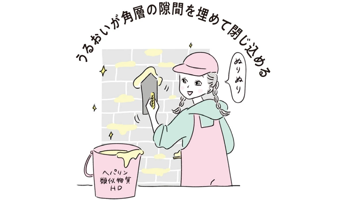 コーセー マルホ ファーマ