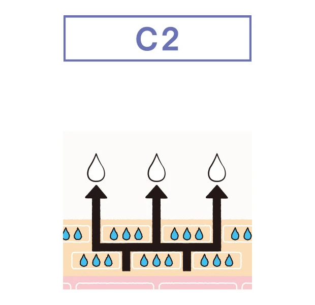 THE ANSWER ジアンサー 肌遺伝子タイプ C2