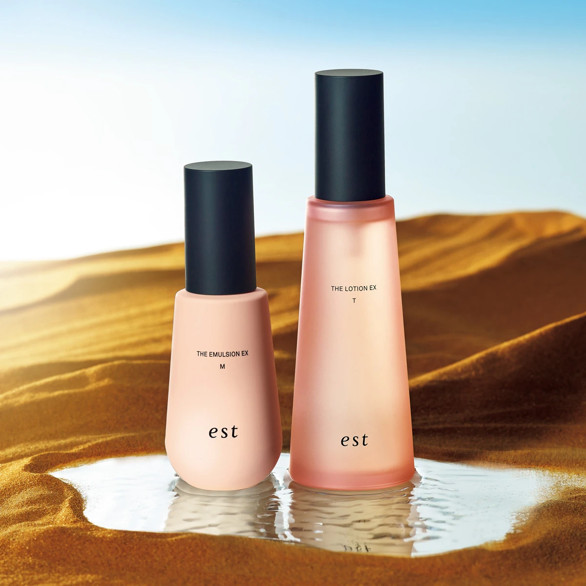 新・砂漠スキンケア エスト ザ ローション EX エスト ザ エマルジョン EX