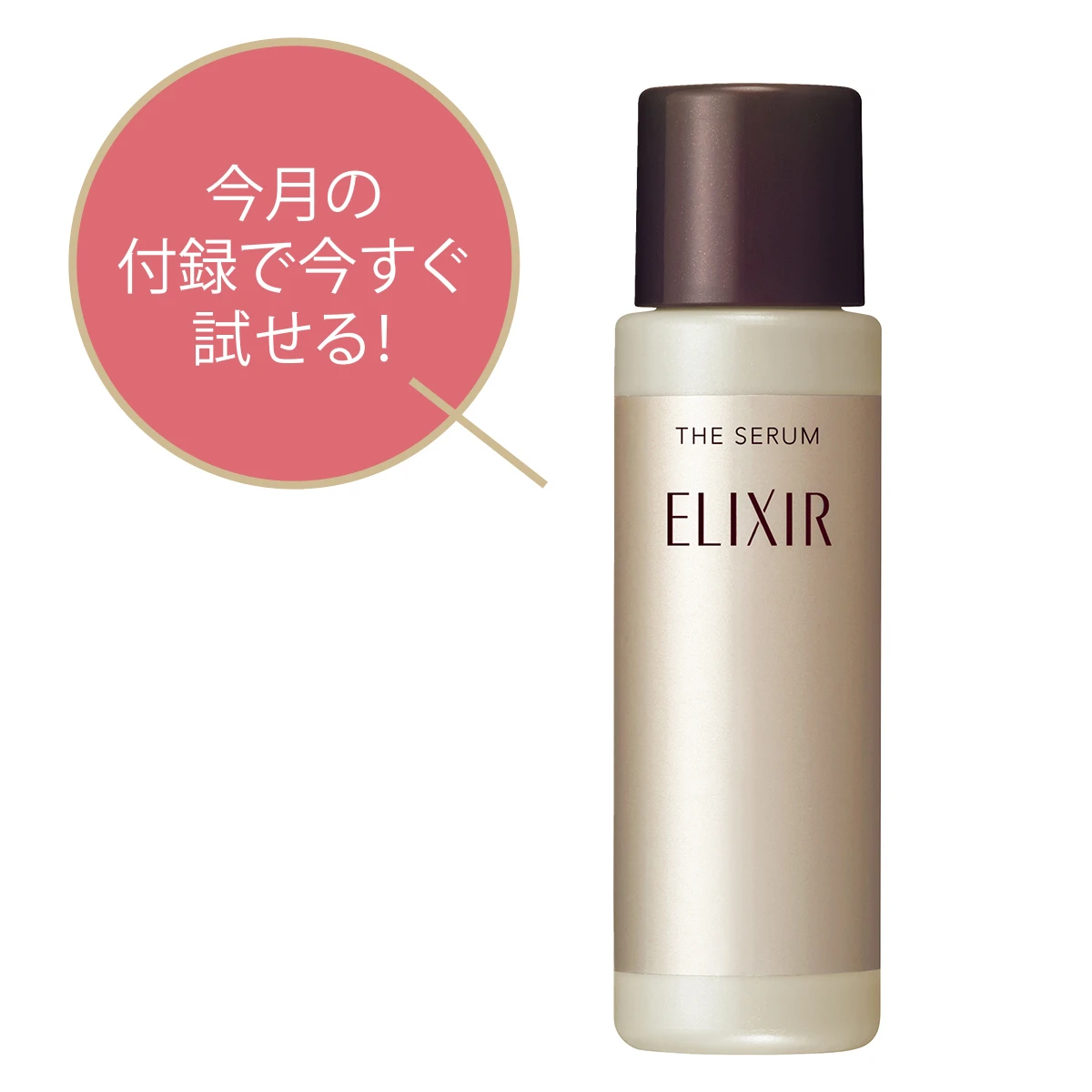 今月の付録で今すぐ試せる!