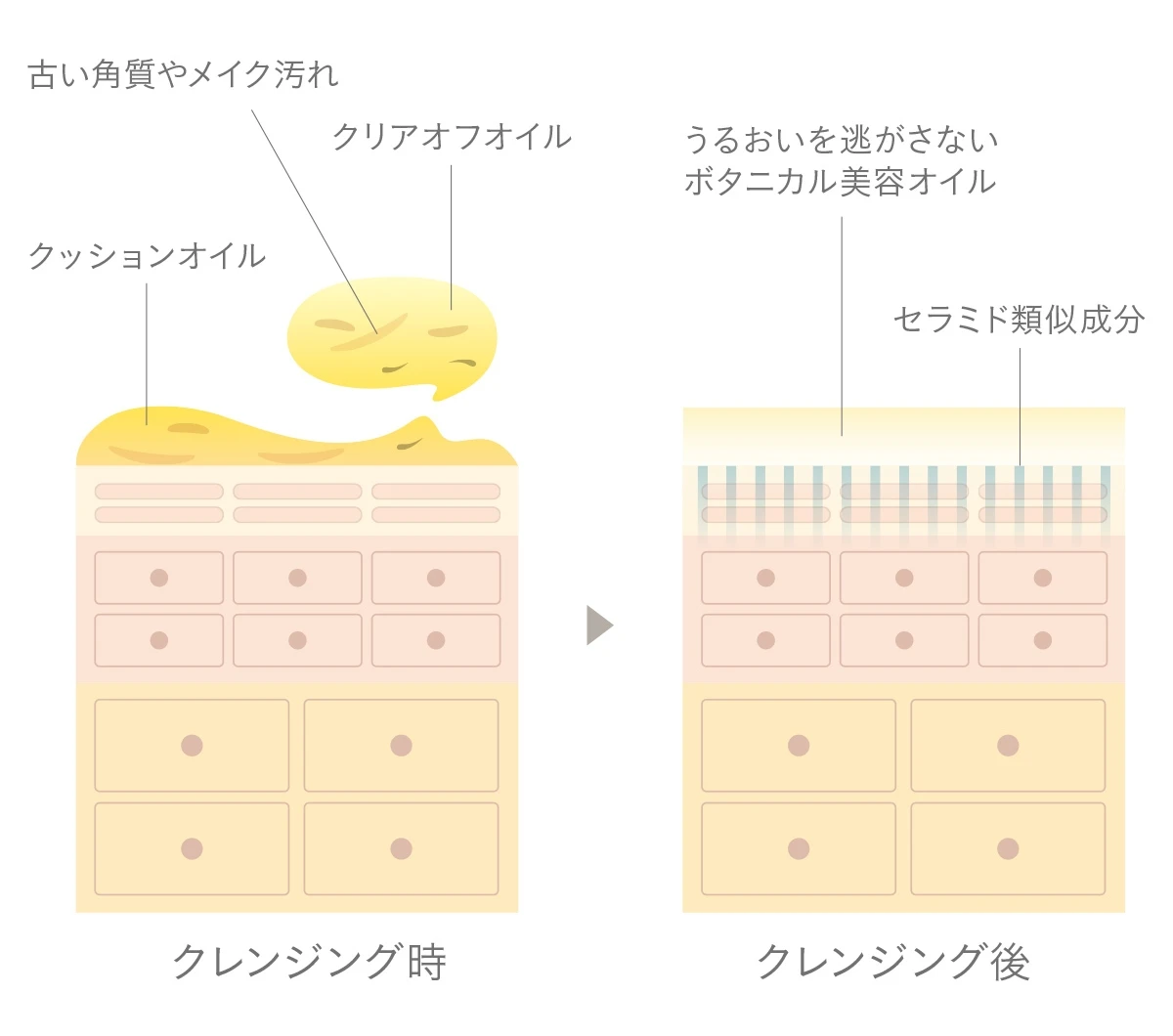 ララヴィ オイル美容 lalavie