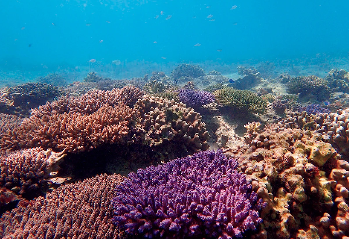 薬用 雪肌精の魅力をひもとく【性別・年齢・肌質を問わず、38年間愛され続けているワケとは?】_10