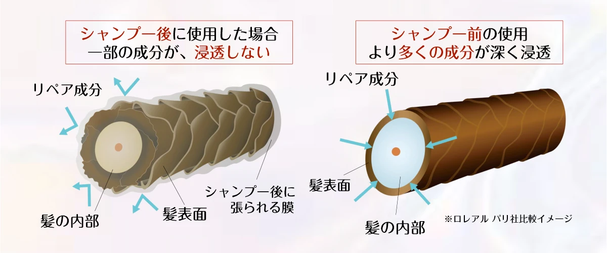 潤いで満たして髪ダメージを根本からケア