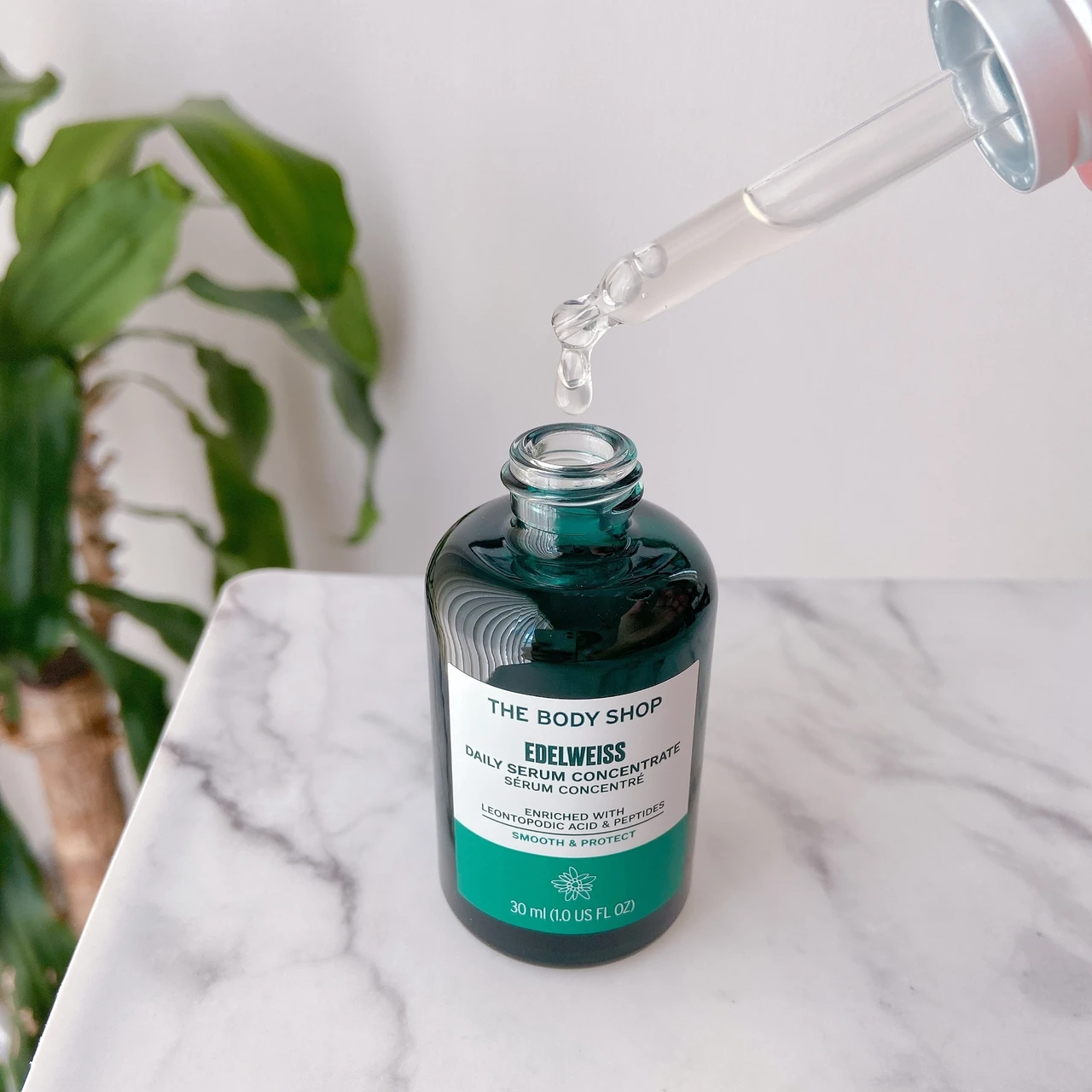 【強さみなぎるハリ肌へ💪】エーデルワイスパワーでお肌もっちもち✨THE BODY SHOP「エーデルワイス コンセントレート セラム」🌿_2_1