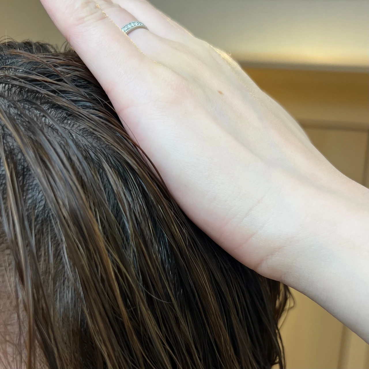 ines イネス アクア チャージ ムース