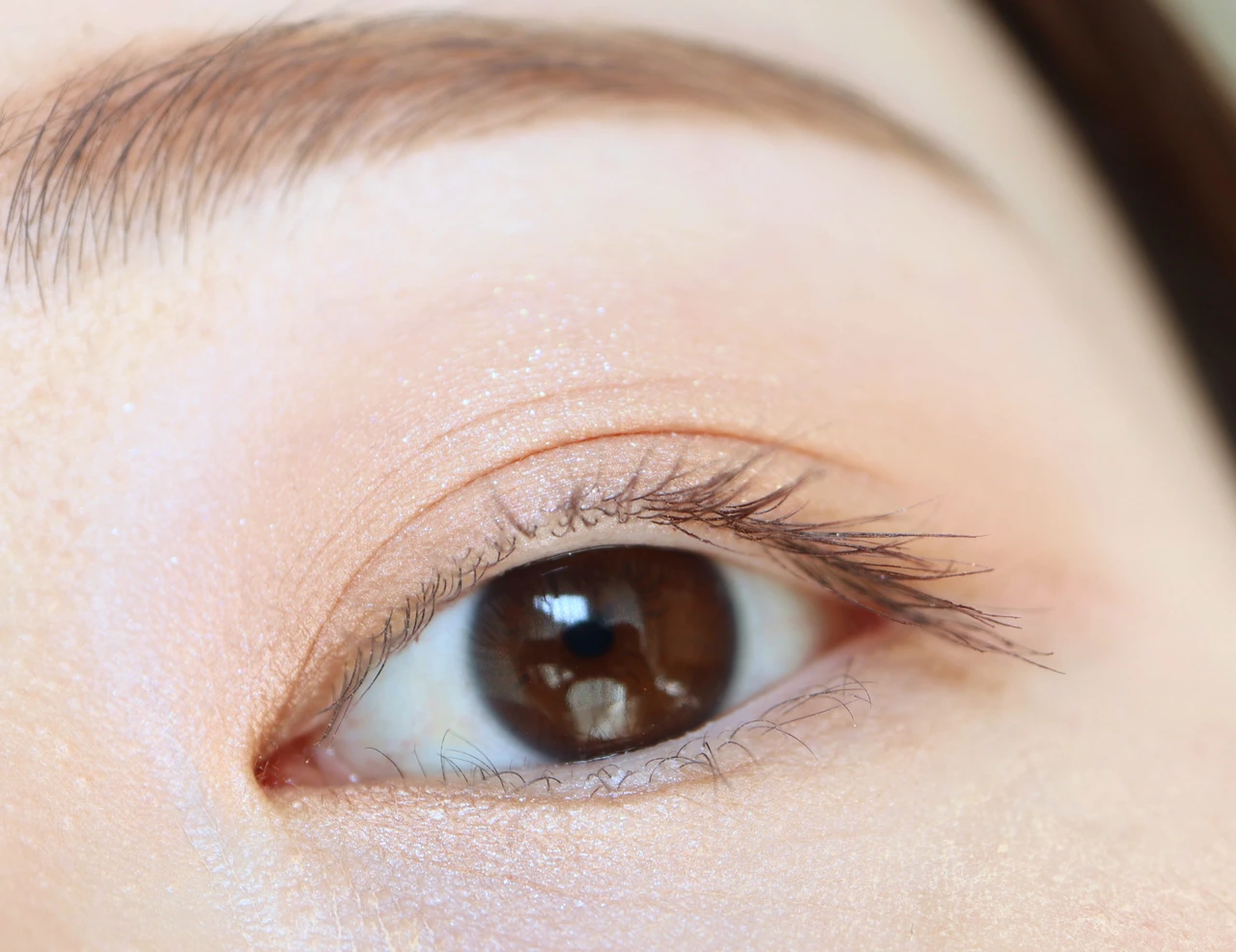 ウェイクメイク ソフトシアーマルチパレット 01 コーラルヘルツ