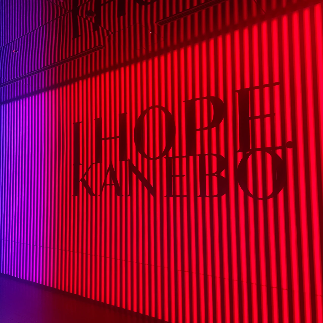 カネボウ 美容液