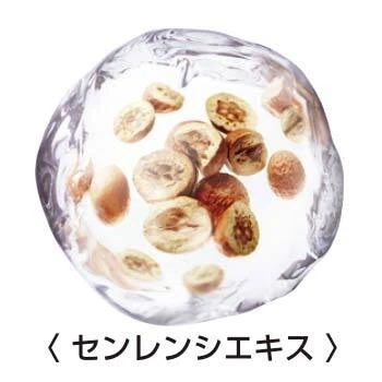 炭酸(※1)泡の新美容液、“美の恵み”がギュッと詰まったファーストステップで新たな美しさへ_3