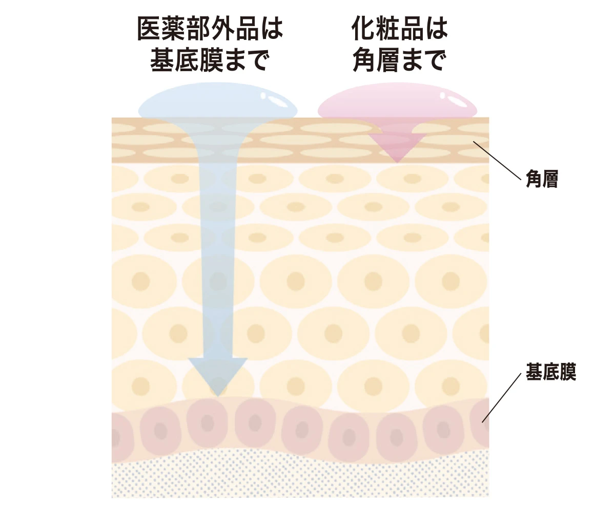 うるおいのためのアイテムの化粧品と医薬部外品の違いは?