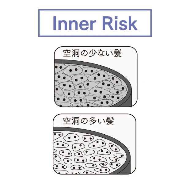 THE ANSWER ジアンサー 髪の構造 Inner Risk