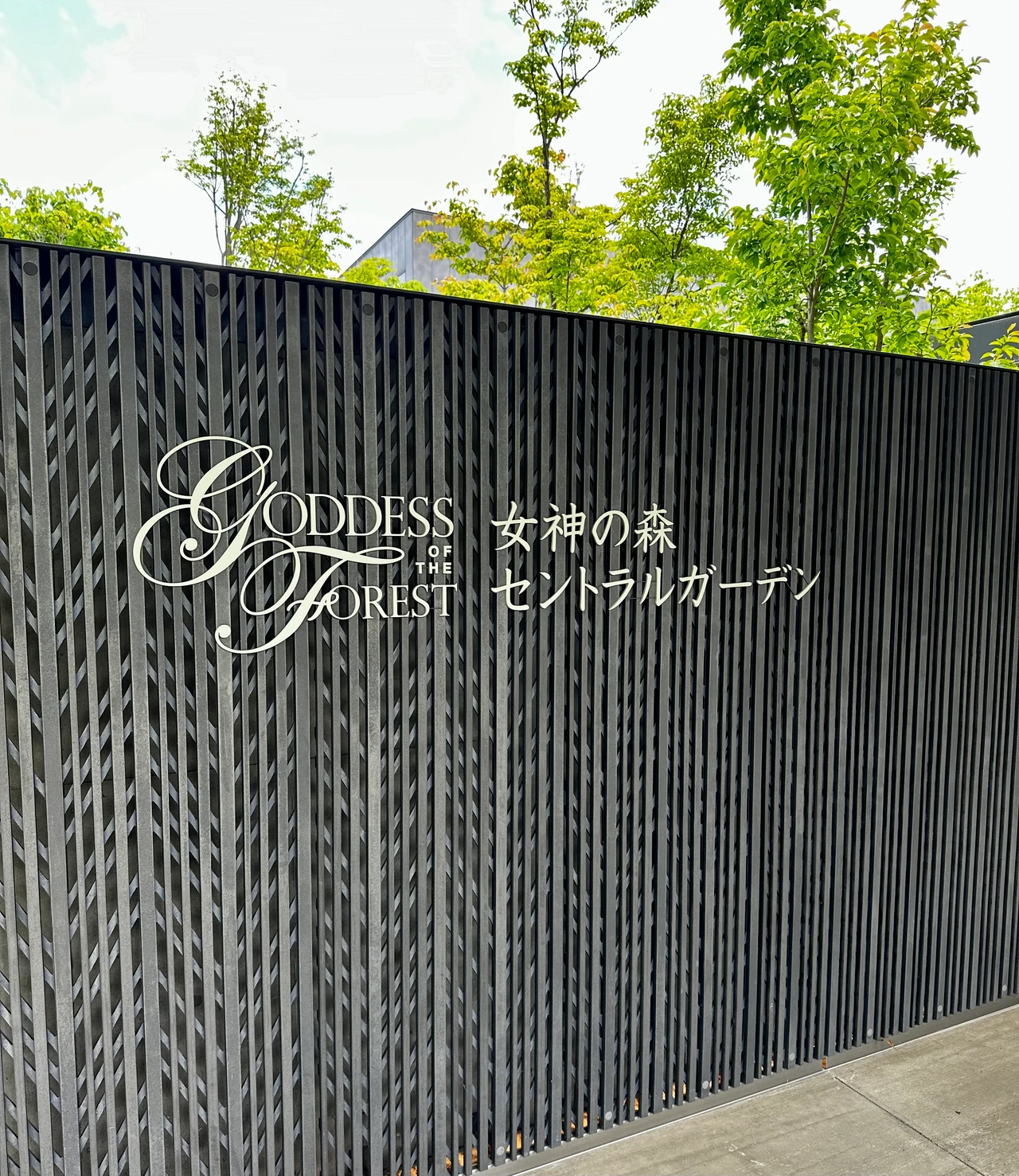 【ARSOA（アルソア）本社】見学レポート「心・体・肌」三建の精神　ブランドの魅力を紹介します。

_13_1