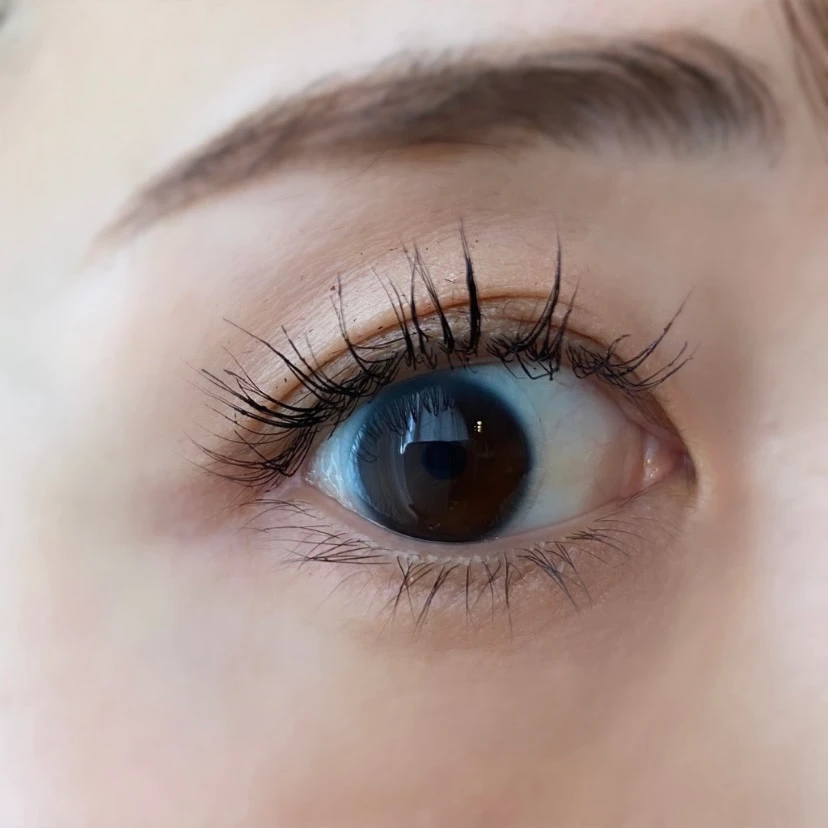 ＼保存版／【パクミニョン様出演】3650新作発表会の豪華イベントの様子と11月1日発売のマスカラ全部見せます‼︎_22_1