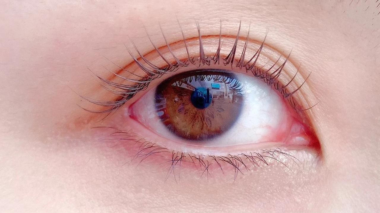 【これぞ抜け感】D-upマスカラ新色『マロングレージュ』超ナチュラルに盛れて、透明感あふれるマスカラに注目。_4_1