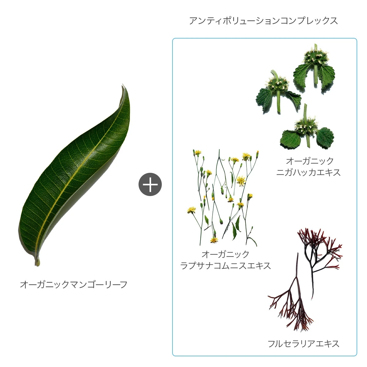 つけていることを忘れる素肌感! 肌を守り抜く5P プロテクションで、UVケアに新領域_4