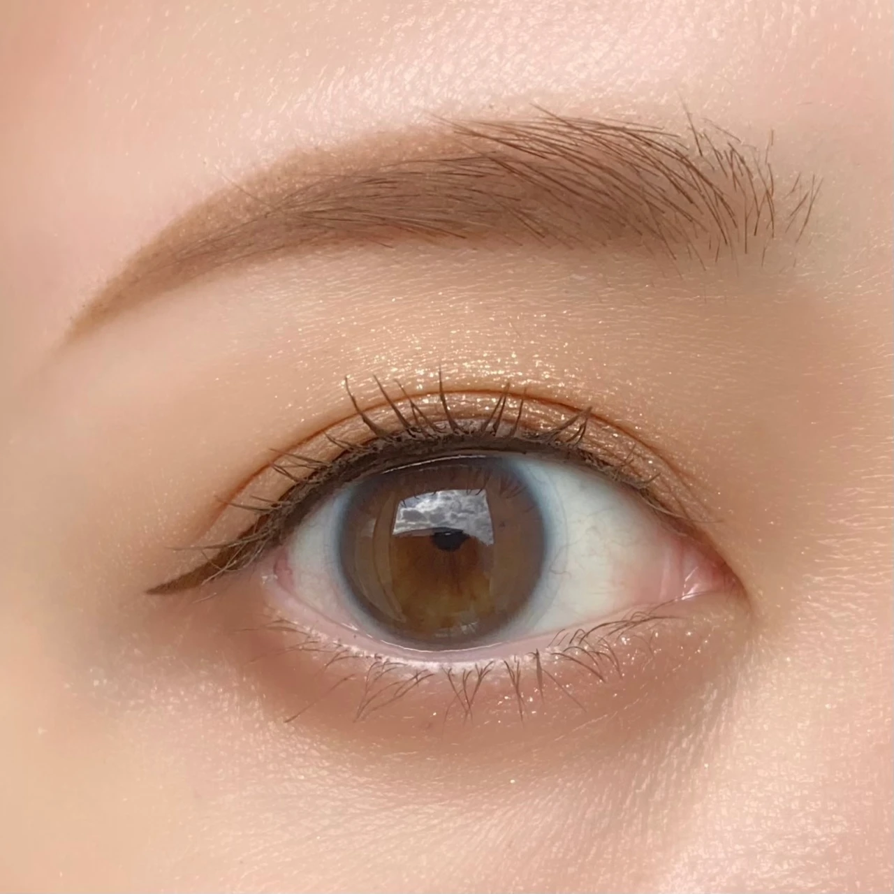 【10/9発売】D-UPより秋の新色が誕生！誰もが盛れる"大人カラーレス"なマロングレージュ_3_1