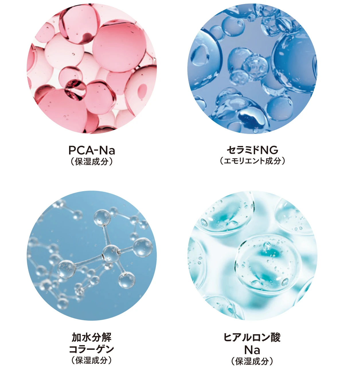 セラミド 加水分解コラーゲン〈先行乳液で手に入れる密な感触のむっちり肌〉 畑 芽育と紐解く、新生フラルネの魅力