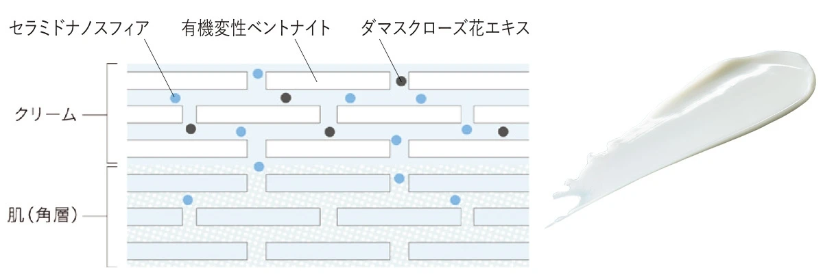 美肌を叶える新発想 角層美容で育む「理想的※1な肌」
_6