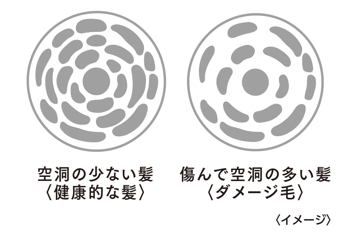 【スキンケア発想の"保水美容液"シャンプー】エイトザタラソ(8 THE THALASSO)で内側から潤うみずみずしい"ぷるん髪®︎"へ_3