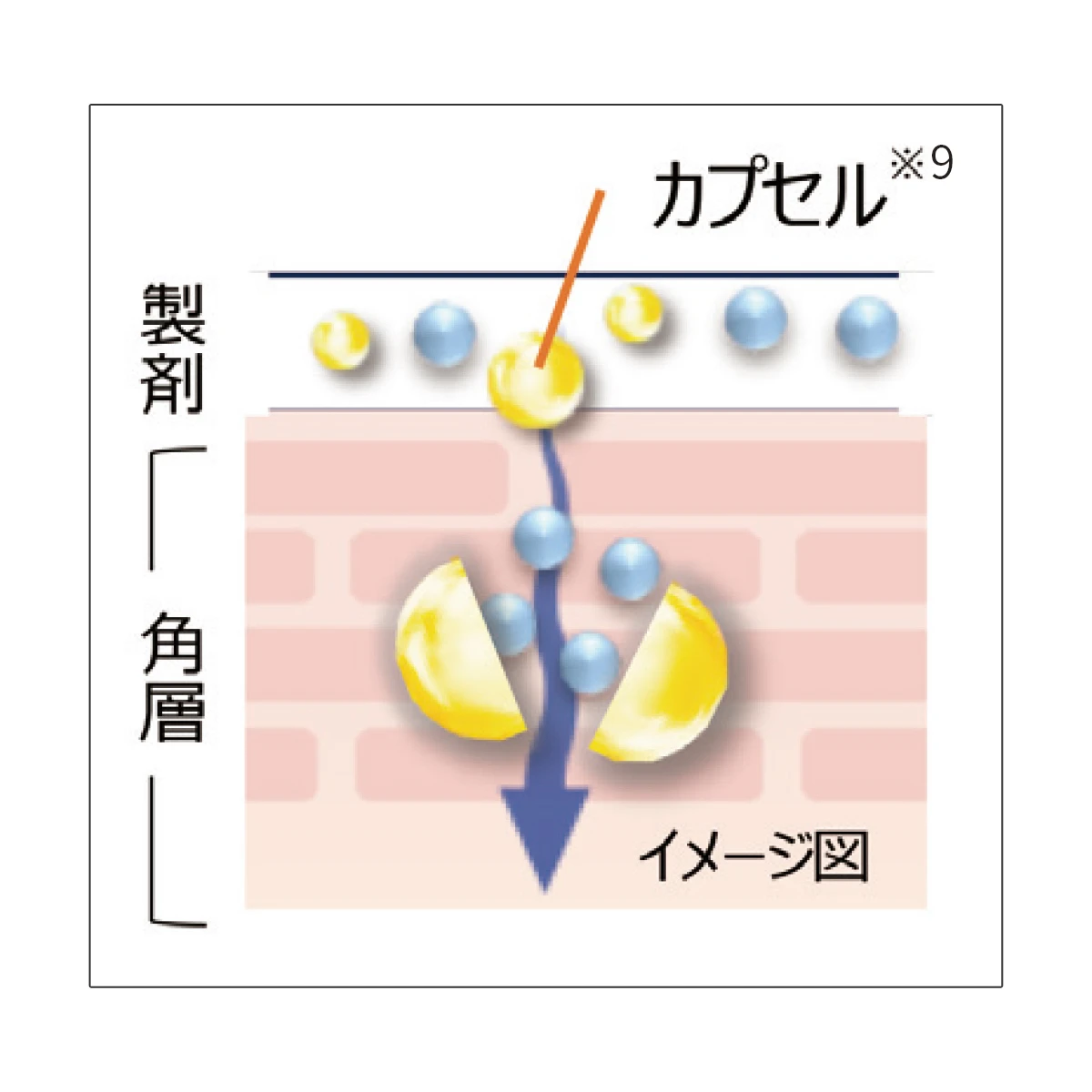 肌ラボ　ヒアルロン酸　グルタチオン酸
