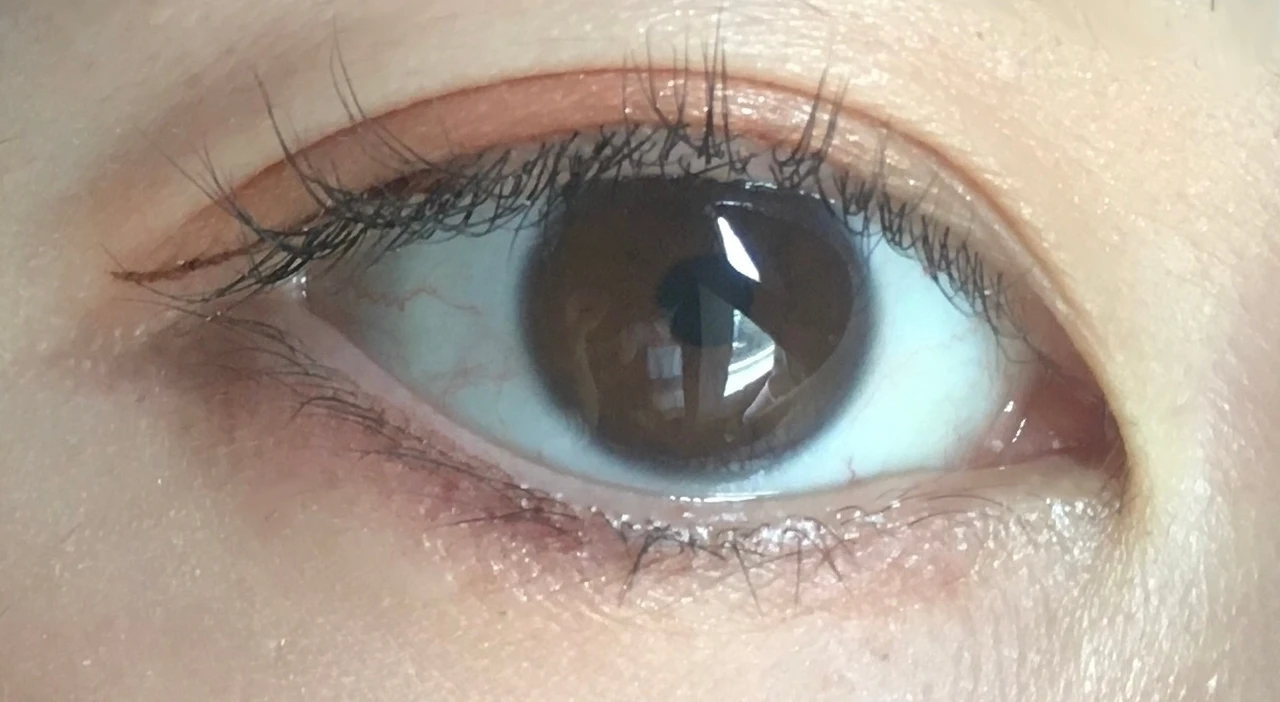 【10/9発売】ディーアップからナチュラルに仕上がる、秋にぴったりなマスカラが登場_5_1