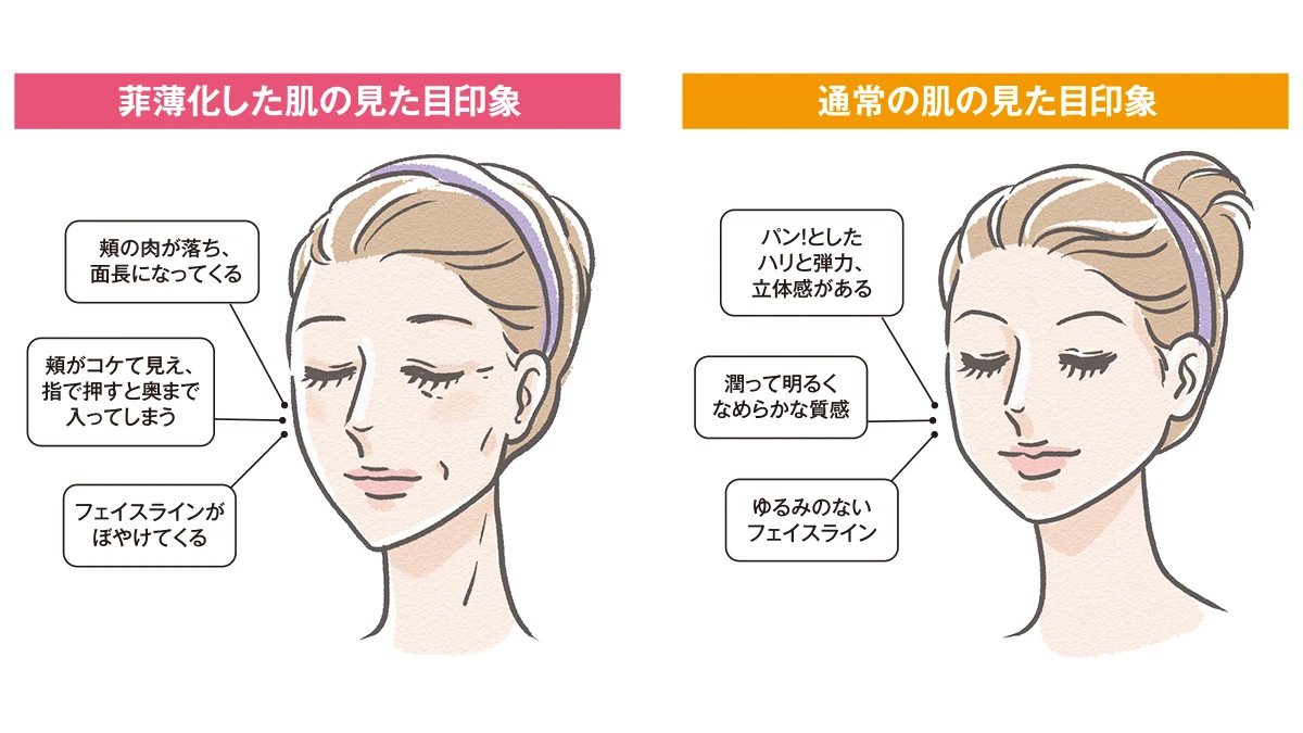菲薄化した肌の見た目印象と通常の肌の見た目印象