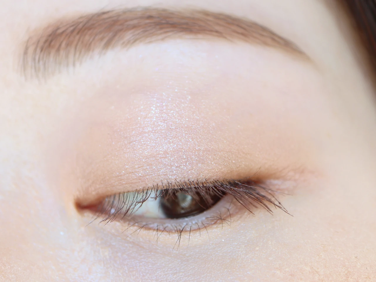 ウェイクメイク ソフトシアーマルチパレット 01 コーラルヘルツ