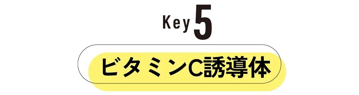 繰り返さない! 目に見えないニキビも、見せたくないニキビ跡もアクセーヌ イプノスにお任せ
_13