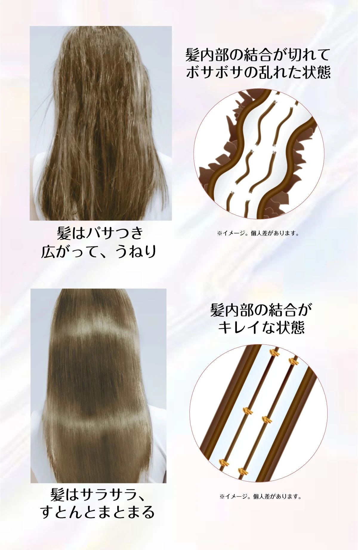 回復科学テクノロジーで芯から補修し、内部から髪を美しく!