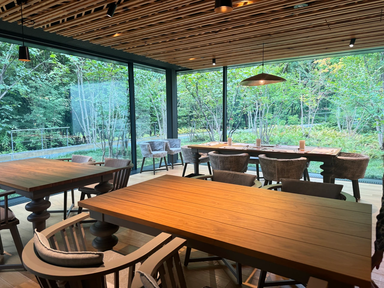 アルソア女神の森 奏樹