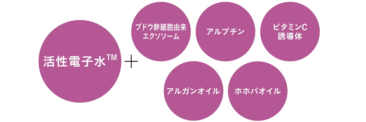 エレクトロン　タイトニングミスト ブライトの成分