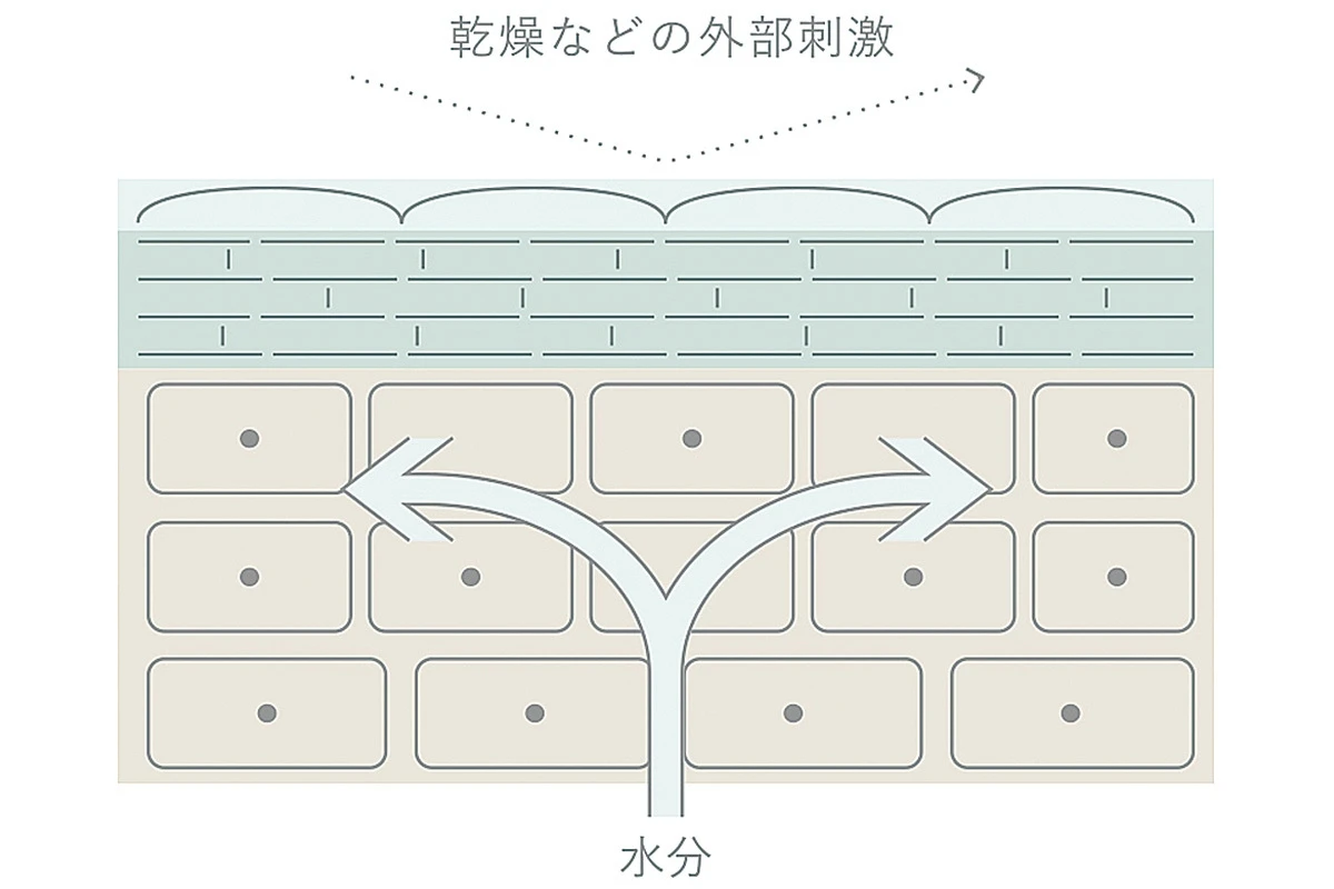 ベスコス受賞アイテムのプレゼントも! 温肌をビューティーコンセプトとしたスキンケア『ON&DO』で寒暖差に揺らがない美しさへ
_3