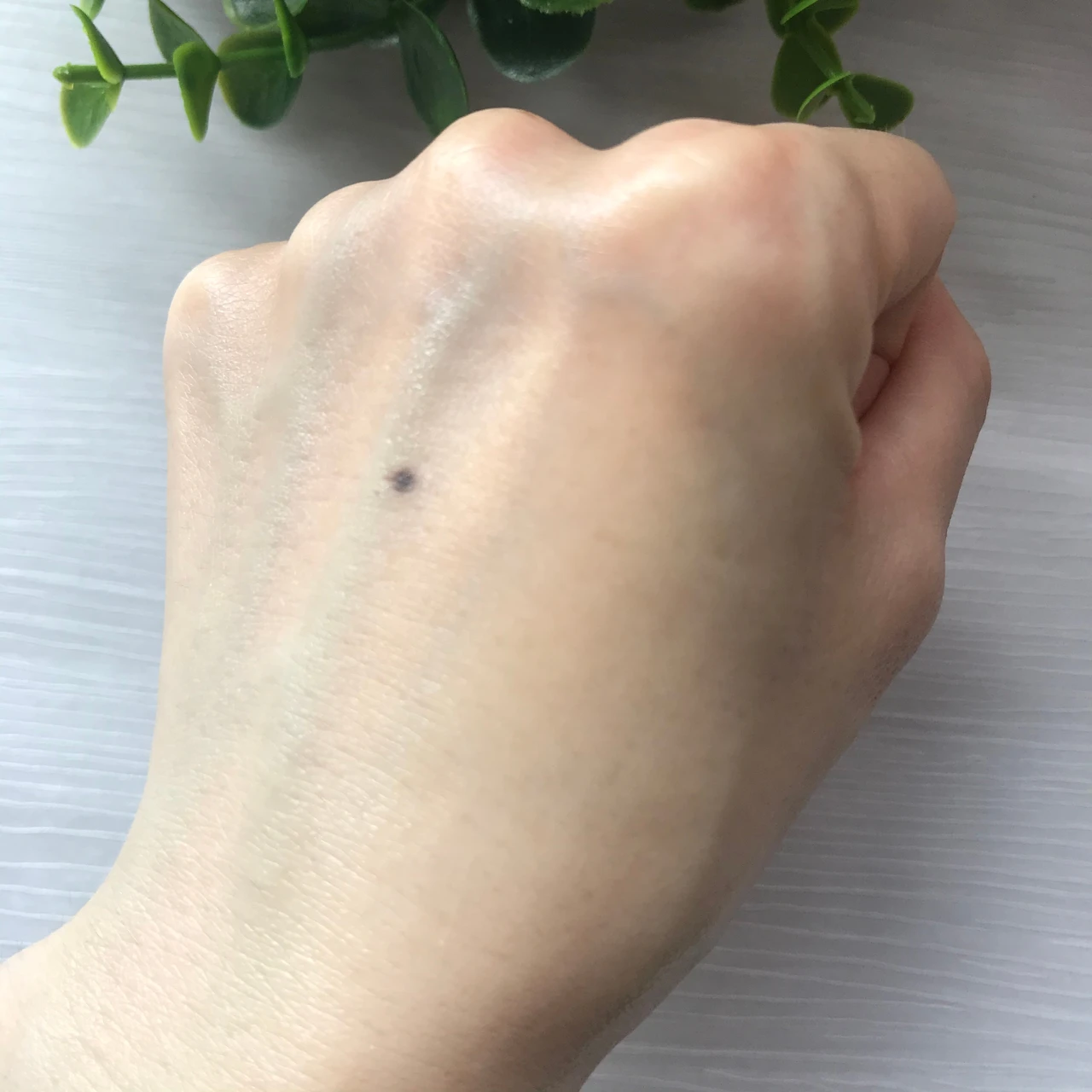 シカデイリージェルクリーム